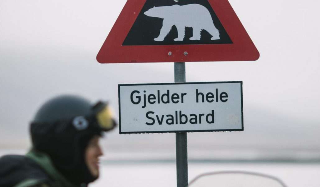 activities to do in svalbard