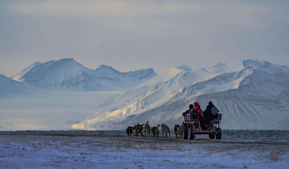 Dogs the Ocean Along the Arctic coast by dog wagon