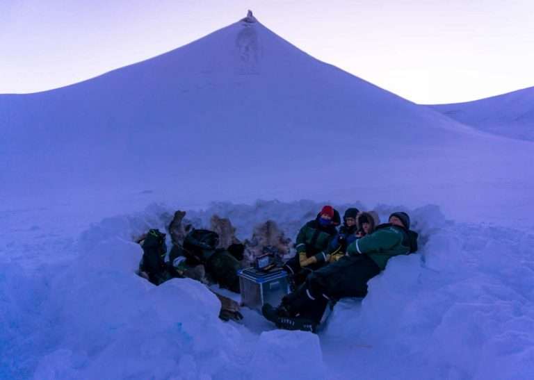 Dogsledding to ice cave3