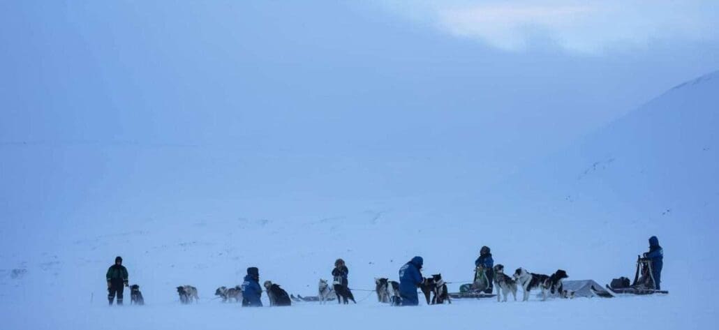 Dogsledding to ice cave5