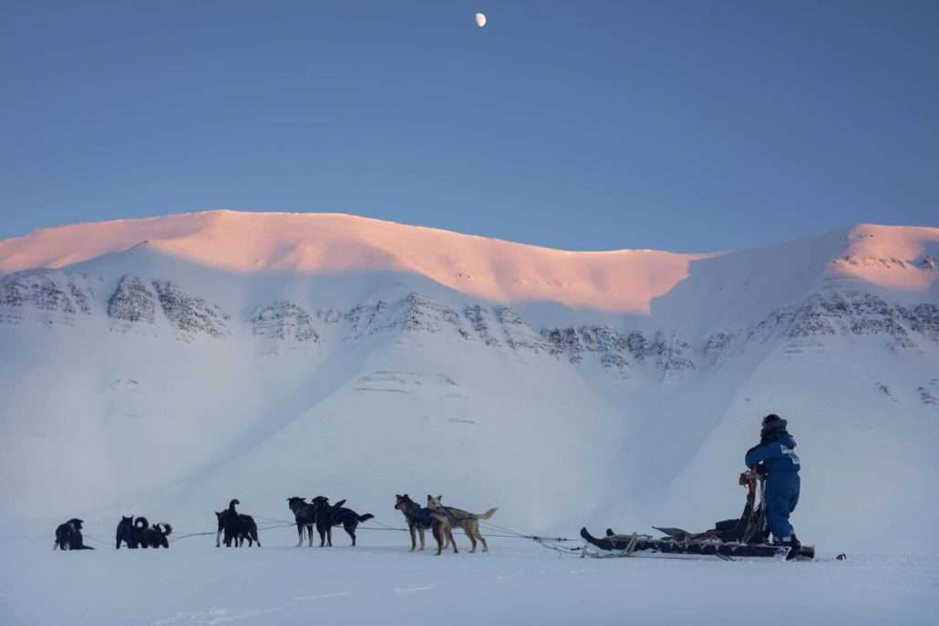 Dogsledding to ice cave6