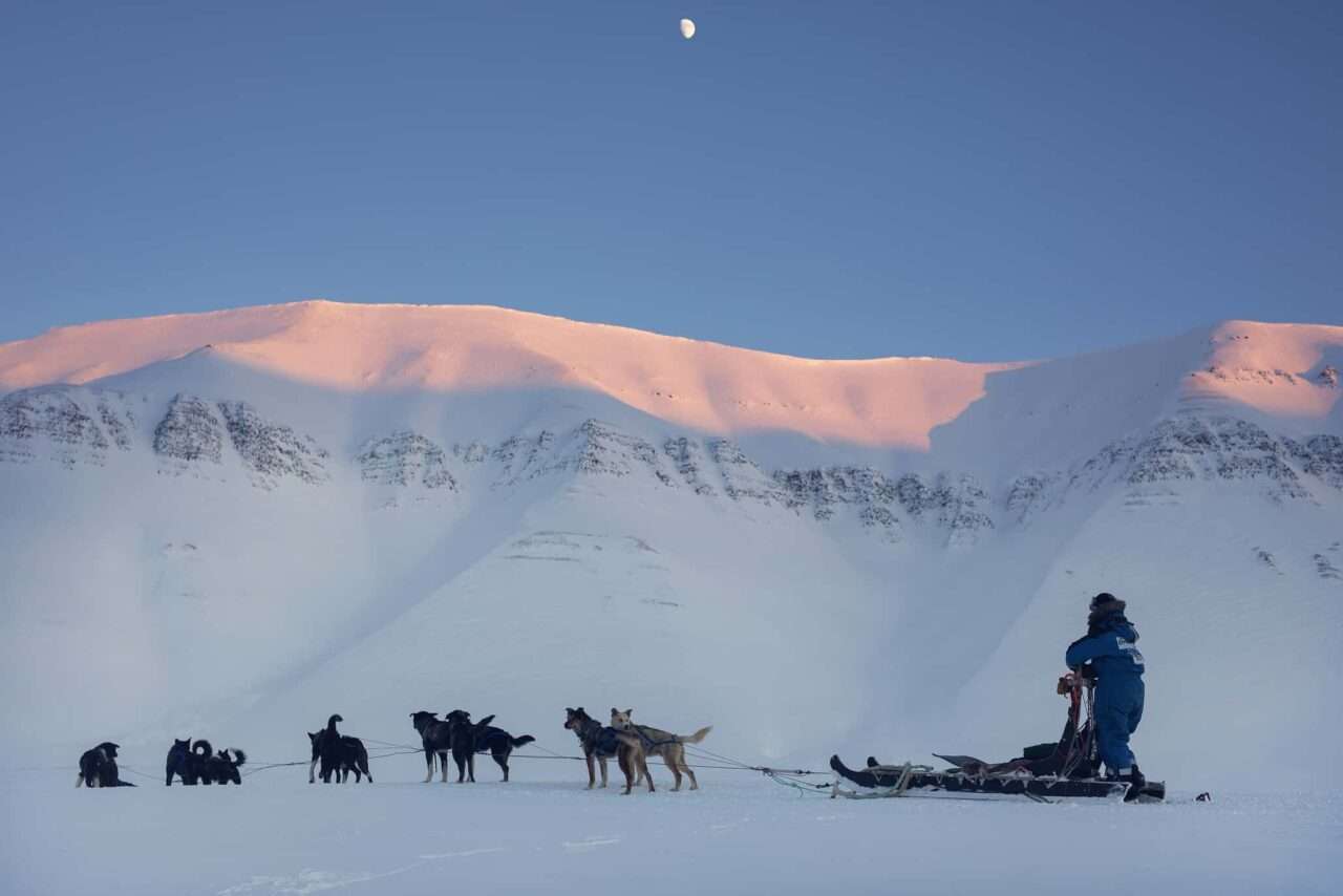 Dogsledding to ice cave6