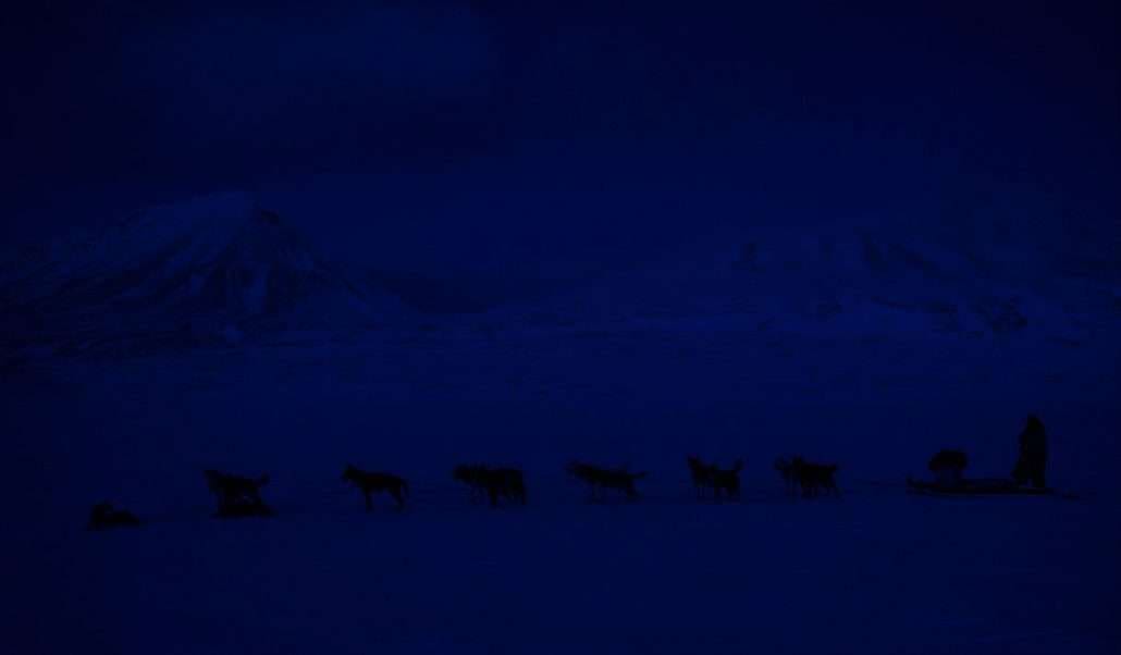 dogsledding polar night 1