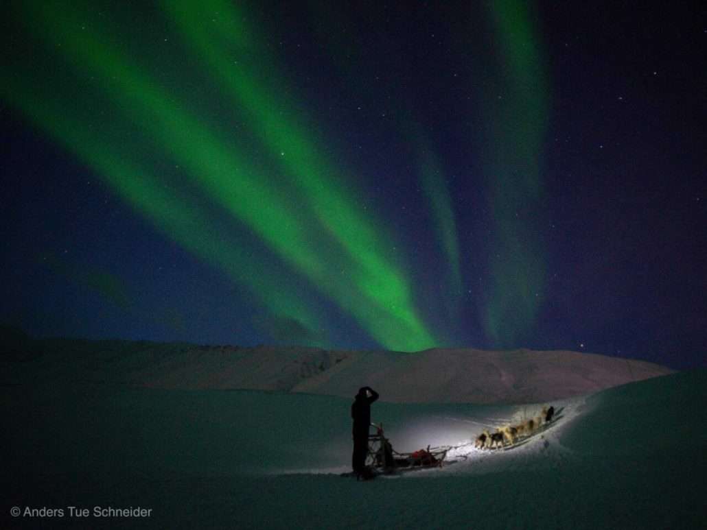 dogsledding polar night 5