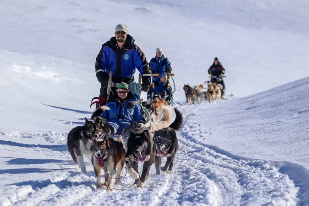 Dog sledding team on the snow in Svalbard